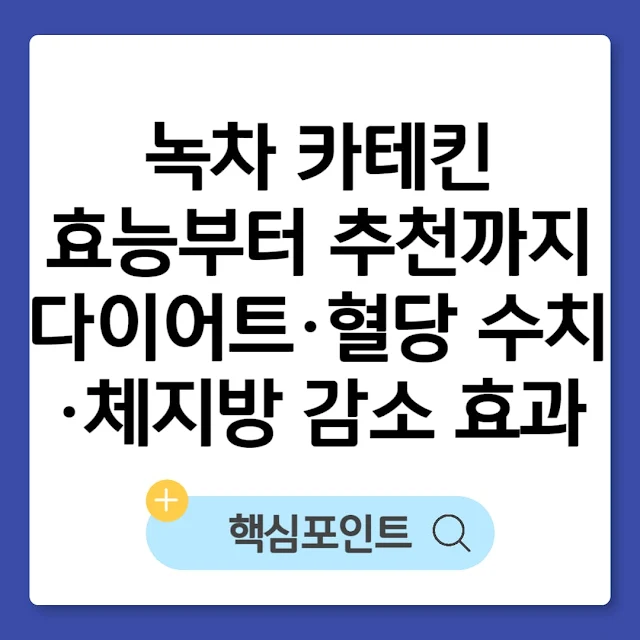 녹차 카테킨 효능부터 추천까지｜다이어트·혈당 수치·체지방 감소 효과 썸네일