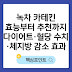 녹차 카테킨 효능부터 추천까지｜다이어트·혈당 수치·체지방 감소 효과