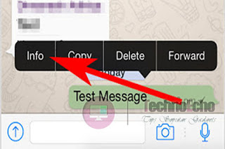 cara mengetahui siapa saja yang membaca pesan di whatsapp group