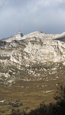 El Gamoniteiru, sierra del Arama. Grupo Ultramar Acuarelistas