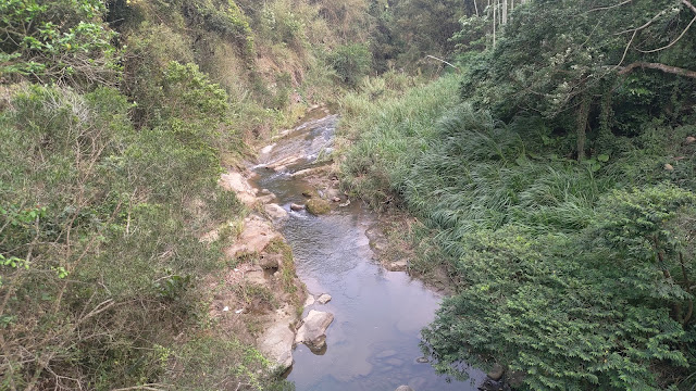 小徑 - 龍騰斷橋南段