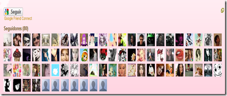 seguidores