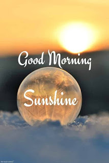 good morning image for love sunshine