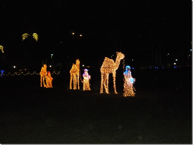 12-13-12 B Mormon Lights in Mesa 023