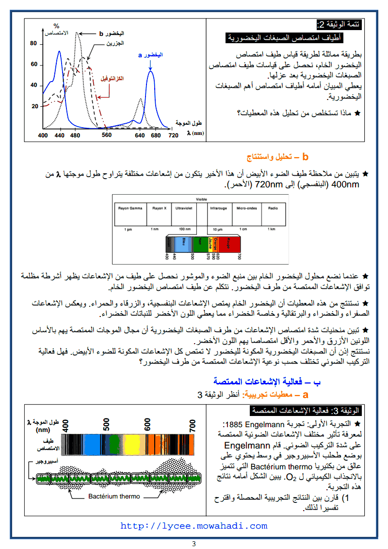 انتاج المادة العضوية و تدفق الطاقة 3