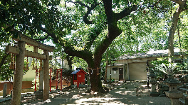 厳嶋神社(松原市)