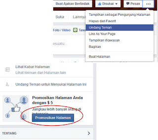 menambah like facebook dengan promosi melalui facebook ads