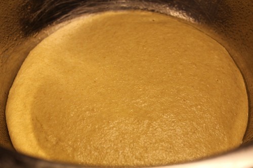 einkorn-levain0023