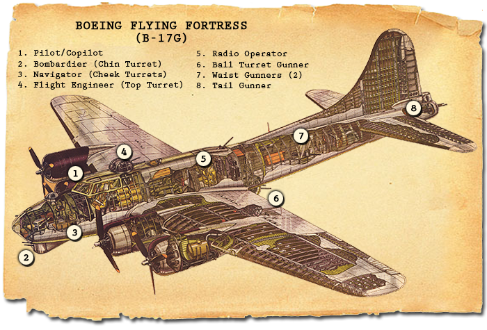 This cutaway view of a B17G shows the postions of the ten crew members