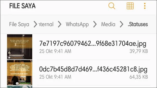 Cara Mengetahui Lokasi File Status Whatsapp