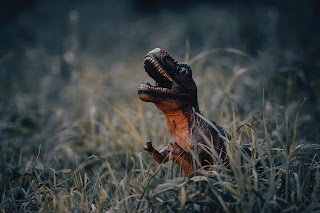 Dinosaur in grass - Photo by Showkat Chowdhury on Unsplash