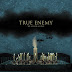 True Enemy - We All Die Alone [iTunes Plus AAC M4A]