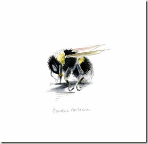 my little bee sm
