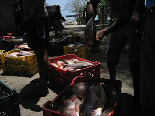 Santa Clara, Panamá