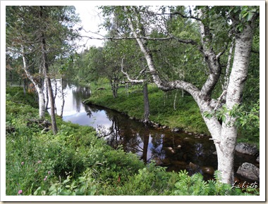 P7160704