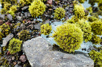 冰島, Iceland, Glacier Guides Glacier Explorer 冰川健行