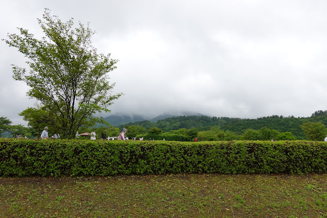 鳥取県西伯郡大山町宮内 仁王堂公園