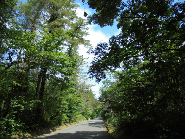 大山口停車場大山線を十字路まで降ります