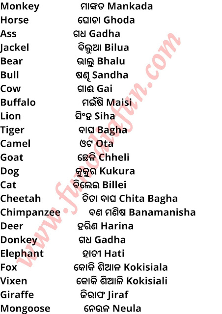 all animals name in Odia and english pasu pakhi mananka odia o english name