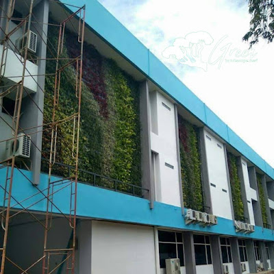 Tukang Taman Vertikal Subang - Jasa Pemasangan Vertical Garden di Subang