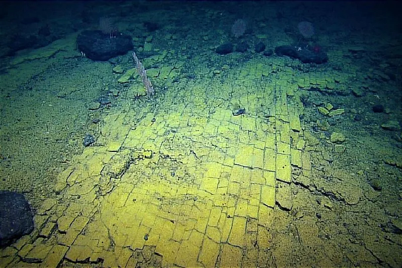 Descubren misterioso amino en el fondo del océano