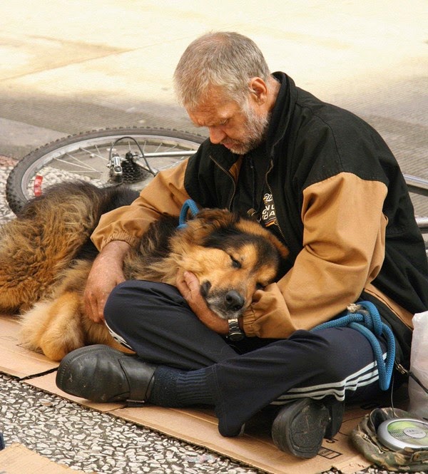 Xúc động với loạt ảnh "chó hạnh phúc bên chủ vô gia cư" chạm tới trái tim nhiều người
