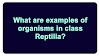 What are examples of organisms in class Reptilia?