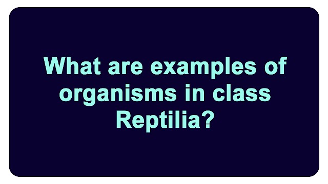What are examples of organisms in class Reptilia?