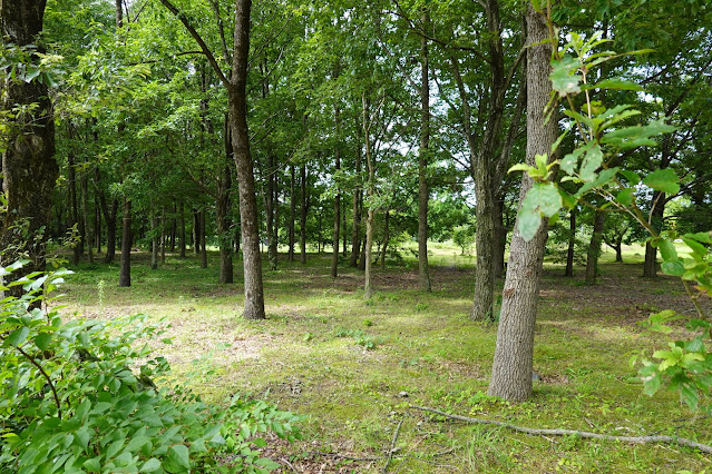 鳥取県西伯郡伯耆町丸山　伯耆町 交流の森