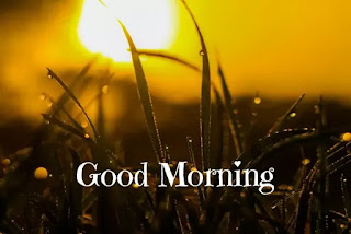 30 + Awesome Good morning pictures download