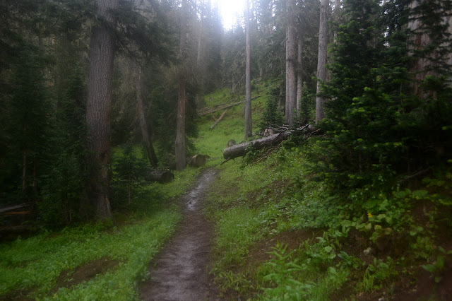 Bonito Pass Trail