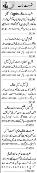 Latest Jobs for Assistant Manager and Qari in Islamabad 2023 - Thesevenfact.com