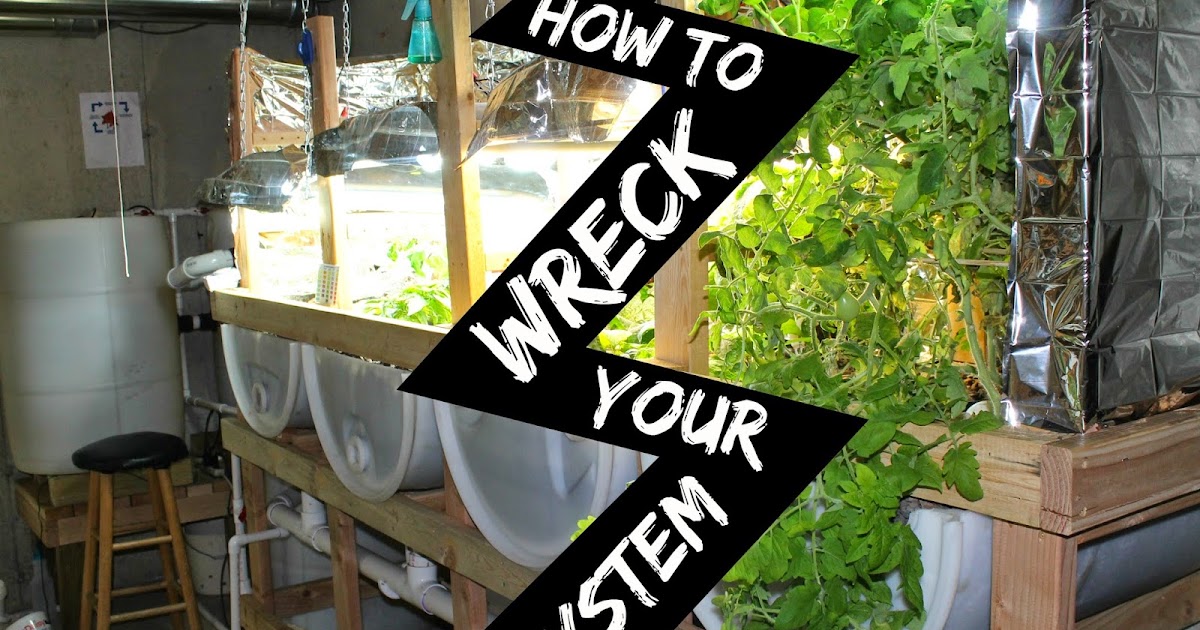 How to Wreck Your Aquaponics System A Story of Citric Acid ...
