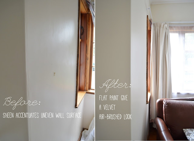 Low sheen vs egg shell paint in interior - Amy MacLeod