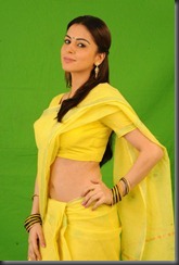Shradha Arya Hot Saree Stills