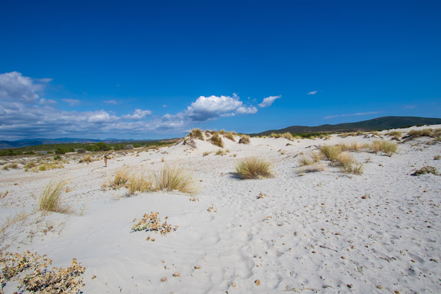 Spiaggia di Is Arenas biancas-Dune