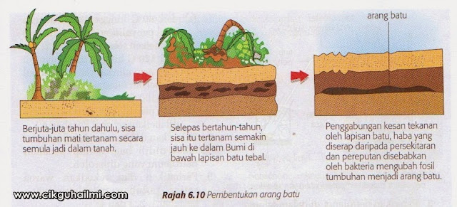 Image result for arang batu