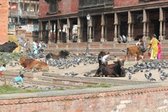 IMG_1962