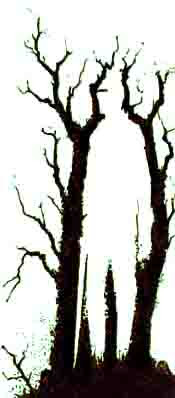 Trees Hiding Man Illusion