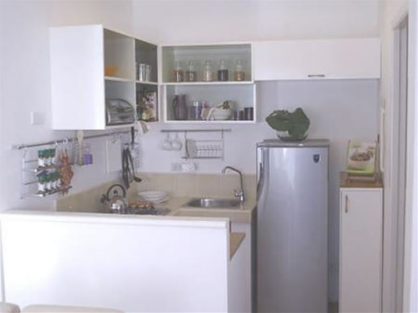 Apartment Kitchen Interior Design