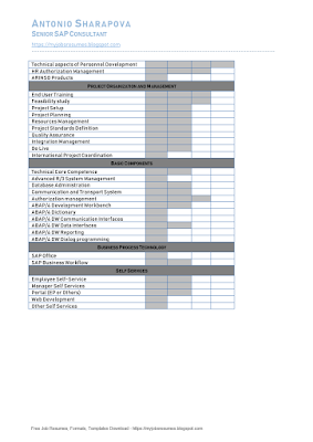 Senior Consultant SAP Resume Samples 03