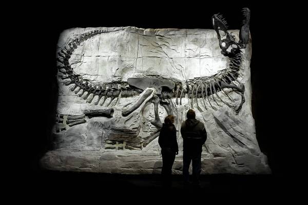 Canadian Badlands offer a hotbed of dinosaur fossils