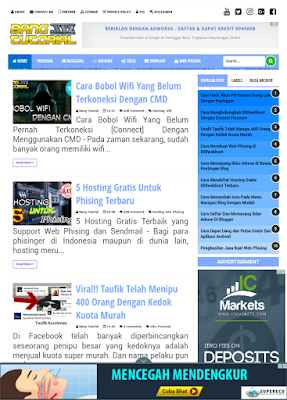 Cek Blog yang Sudah di Setting Domainnya