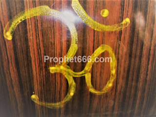 Om On Front Door to remove evil energies