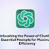 ChatGPT Prompts for Maximum Efficiency