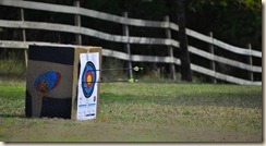 target with arrows