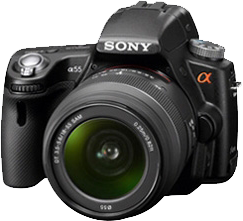 Sony A55