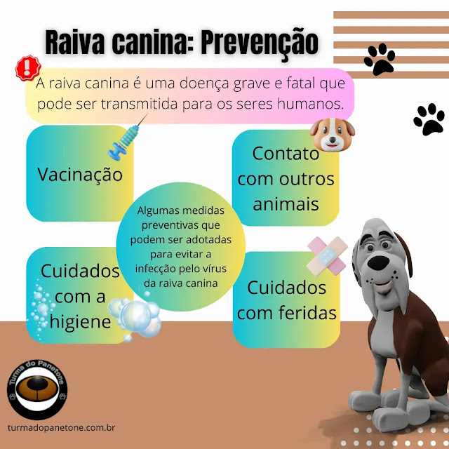 Raiva canina: Prevenção
