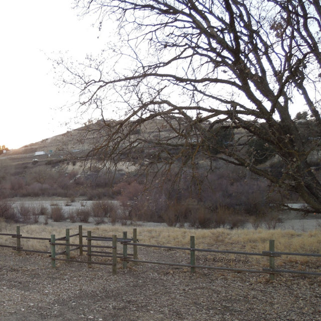 "Larry" Moore Park in Paso Robles: A Photographic Review - River Access Pass Through