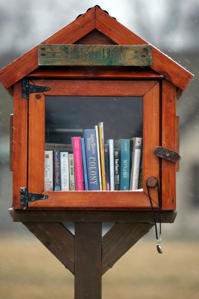 Dante s Wardrobe Build Your Own Little Tiny  Library 